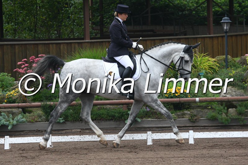 009M8892_Diamond Dancer_Dressurpf L.JPG